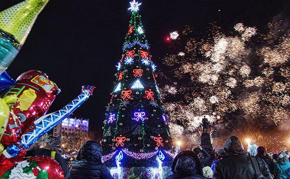 Стало известно, когда и как откроют новогодние ёлки Севастополя